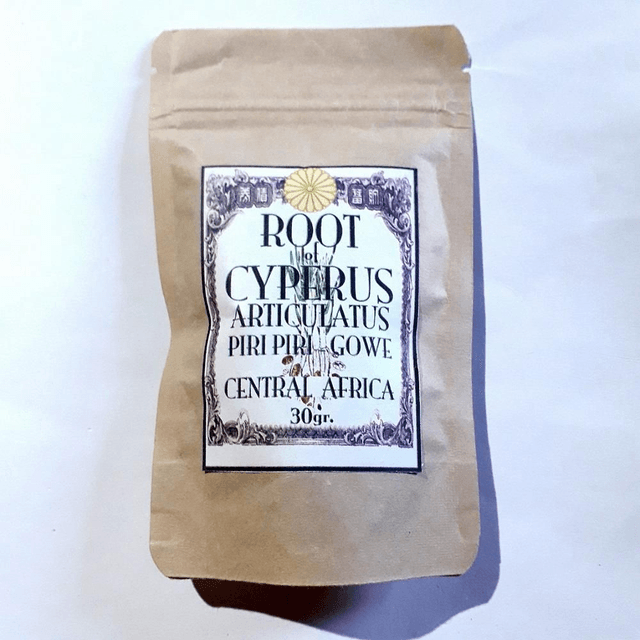 Root of Cyperus Articulatus PIRI PIRI GOWE 30 gram